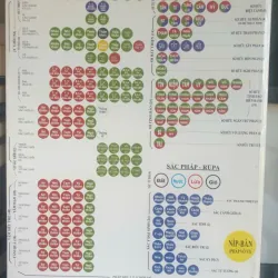 Siêu Lý Tiểu Học 717692