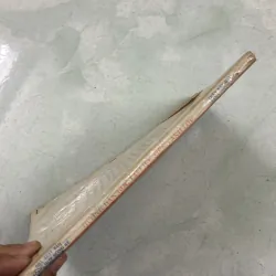 Hướng dẫn học tài liệu Tiếng Anh lớp 11 988048