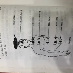 Cảm xạ học thực hành 762472