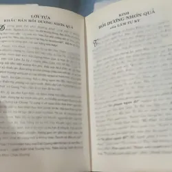 Hồi Dương Nhơn Quả 1018902