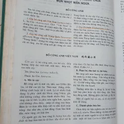 CÂY THUỐC VỊ THUỘC VIỆT NAM  931945