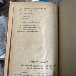 Vic-to Huy-gô 519102