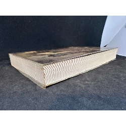 Thành phố xương Phần 1 series Vũ khí bóng đêm Mới 90% SBM2102 450546