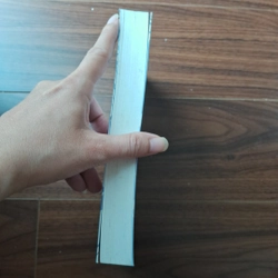 Run rẩy - maggie stiefvater 506370