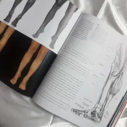 Sách dạy vẽ giải phẫu Anatomy for the Artist Sarah Simblet 1047573