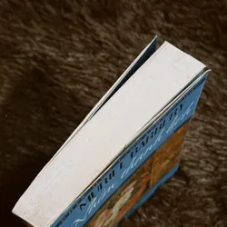 Nhím thanh lịch (bản in cũ) 698338