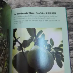 Cẩm nang Du lịch Đồng Nai- Song ngữ Hàn Việt. Guide tourist in Đồng Nai by English Korean 795859