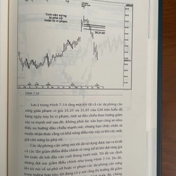 Fibonacci Trading 496951