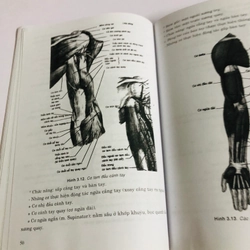 GIÁO TRÌNH GIẢI PHẪU SINH LÝ NGƯỜI  539431