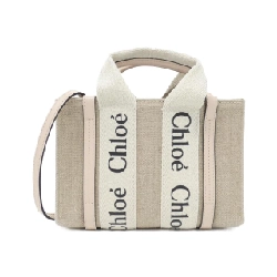 Túi xách mini Woody Chloe CHC22AP237 I26