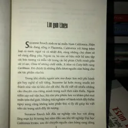 Kẻ phóng đãng bất trị - Suzanne Enoch 999818