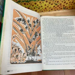 Dế Mèn Phiêu Lưu Ký - Tô Hoài 928077