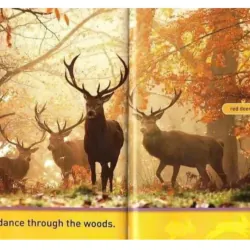 National Geographic kids - Level pre reader 30 cuốn giấy bóng đẹp tặng Audio 1000806