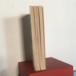 Holding the Dream 735399