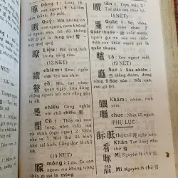 HÁN VIỆT TỰ ĐIỂN (BÌA CỨNG) - THIỀU CHỬU 1041734
