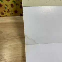 Chó Xanh Lông Dài - Hwang Sun-Mi 925677