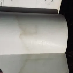 Âm thanh và cuồng nộ 740889