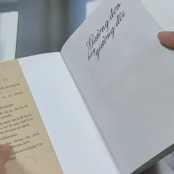 Giường Đơn Hay Giường Đôi - Cầm Sắt Tỳ Bà 744730