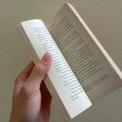 Pilgrimage sách ngoại văn tiếng Anh english book  789443