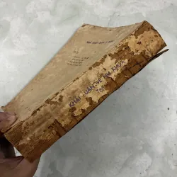 Khái luận về nhi khoa (Tập 2) - Waldo E. Nelson - 1979s 1019908