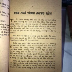 Quần đảo gạch - Rađi Pogođin 1005681