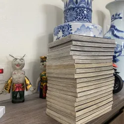 Ong đưa thư full 747017