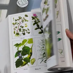 [MIỄN PHÍ BỌC SÁCH] Những Cây Thuốc Và Vị Thuốc Việt Nam - GS. TS Đỗ Tất Lợi 990368