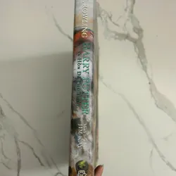 Harry Potter và Hòn đá Phù thủy - J.K. Rowling (Minh họa bởi Jim Kay, Lý Lan dịch) 798719