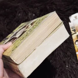 Hồi ký song đôi (bìa mềm) 1010425