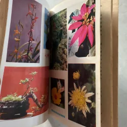 Thú chơi hoa cảnh non bộ xưa và nay - Phạm Kế - 1994s 800626