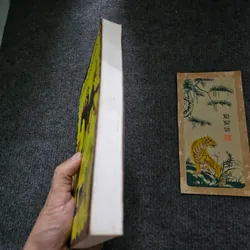 Lại thằng nhóc emil 736436