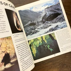 ✨𝑪𝒂𝒗𝒆𝒔 (𝑭𝒂𝒄𝒕𝒔 - 𝑺𝒕𝒐𝒓𝒊𝒆𝒔 - 𝑨𝒄𝒕𝒊𝒗𝒊𝒕𝒊𝒆𝒔)✨ 778854