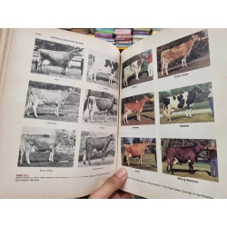 SCIENTIFIC FARM ANIMAL PRODUCTION : An Introduction to Animal Science (3rd Edition) - R.E. Taylor, R. Bogart 139496