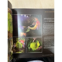 Di sản những dòng sông Việt Nam 752583