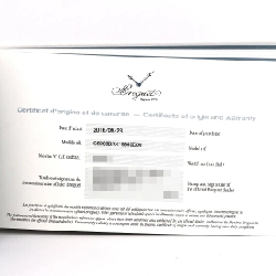 Breguet Queen of Naples RG 8968BR/X1/986 0D00 PG･RG tự động - Hàng hiệu chính hãng 873942