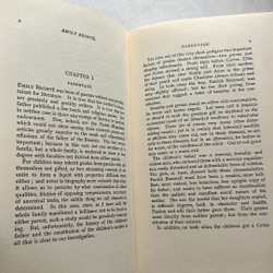 Emily Bronte 509354