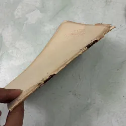 Gió giữa hai người - Phan Cung Việt - 1988s 1001401