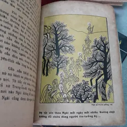 ÁNH ĐẠO VÀNG - VÕ ĐÌNH CƯỜNG 729068