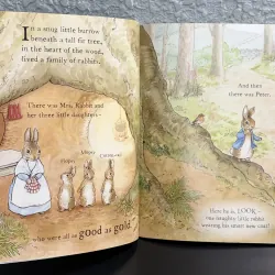 The Tale of a Naughty Little Rabbit 994861