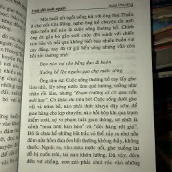 Tình đất tình người - Hoài Thương 1011120