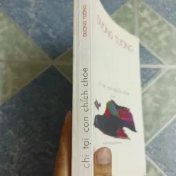 Chị tại con chích chòe - Dương Tường 564404