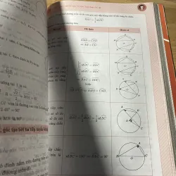 Sách chinh phục 8+ luyện thi môn toán vào 10 theo chủ đề  999882