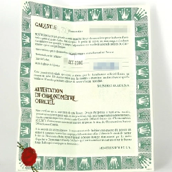 Đồng hồ Rolex Explorer II 16570 SS tự động A - Hàng hiệu chính hãng 880336