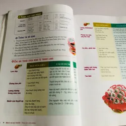 TRÁI CÂY CHỮA BỆNH 693633