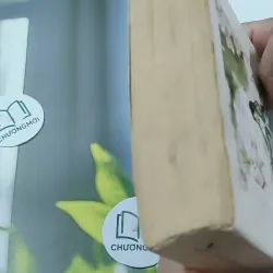 Tam Sinh Tam Thế Thập Lý Đào Hoa - Đường Thất Công Tử 744729