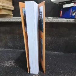 Thơ Đường tuyển dịch 1002824