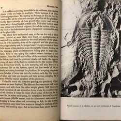 THE SEA AROUND US - Rachel L. Carson - Oxford University Press 1961  452847