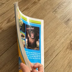 125 loài động vật đáng yêu - sách in màu đẹp cho bé 639924