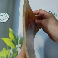 Cao Ly Đầu Hình 928569