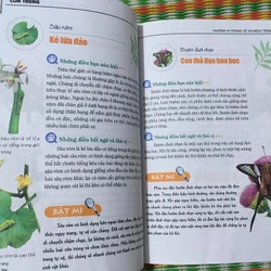 Khám Phá Bí Ẩn Thế Giới Tự Nhiên Dành Cho Học Sinh : Côn Trùng 475385